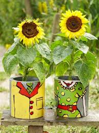 How To Plant Sunflowers In Decorative Pots Outdoors Home Garden Television Planting Sunflowers Flowering Vines Small Space Gardening