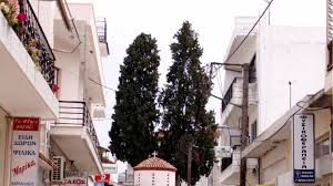 H επιχειρησιακή μονάδα μετεο του εθνικού αστεροσκοπείου αθηνών (εαα) πραγματοποίησε εκ των υστέρων πρόγνωση της μεγάλης δασικής πυρκαγιάς που εκδηλώθηκε το μεσημέρι (13:25) της. As8enhs Seismikh Donhsh 3 Rixter Sthn Istiaia Eyboias