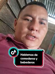 Bebederos Y Comederos Para 100 Pollos De Engorde