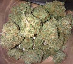 Effects are long lasting and she has a pleasant fruity taste. Blue Dream Marijuana Strain Review And Pictures Newsthc