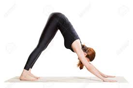 When incorporated into a weekly yoga practice, it may even help relieve chronic back pain.3 Yoga Downward Facing Dog Pose Adho Mukha Svanasana Stock Photo Picture And Royalty Free Image Image 59701685