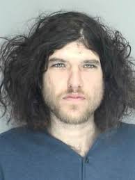 Livonia police arrest video game theft suspect