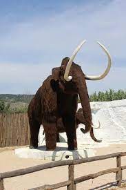 See more of mammuth on facebook. Mammuth Picture Of Parco Sardegna In Miniatura Sardinia Tripadvisor