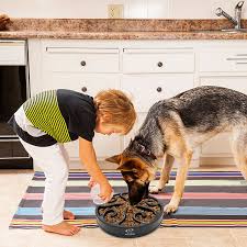 We went with the blue one due to our dog being a male and we just prefer blue over pink. Large Slow Feeder Best Senior Dog Food Senior Dog Food Recipes Dog Food Recipes