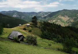 Pronađi idealnu ponudu i uštedi uz milione ponuda za smeštaj na trivago.rs. Nature Park Tara By Vladimir Mijalovic Central Serbiatara National Parkçš„å›¾ç‰‡ Tripadvisor