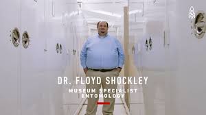 A movie that approaches the backside of the National Museum of Natural  History of the Smithsonian museums, which various specialist organisms  guide