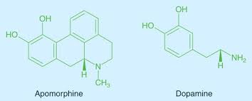 Image result for Apomorphine