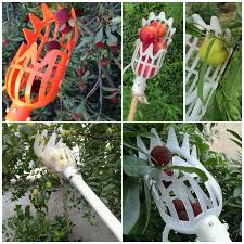 A diy fruit picker so i brainstormed on how i could build my own picker and had an inspiration: Plastic Fruit Picking Tool Without Pole Fruit Catcher For Garden Farm Orchard Ebay
