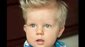 Are you looking for specific photos of boys for your artwork or presentation? Trendy And Cute Toddler Boy Haircuts Youtube
