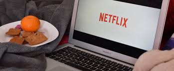 Jaka jest alternatywa dla Netflixa? Oto 5 najlepszych alternatyw dla  Netflixa - exotic-birds.pl