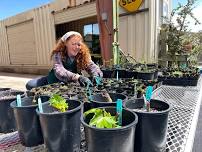 Ackerman Native Plant Nursery