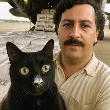 L'unità coinvolta è il Novorossiysk, parte della Flotta russa del Mar Nero,  attualmente impegnata in alcune missioni nel Mediterraneo