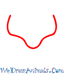 The arctic fox is also known as the white fox, snow fox, or would you like to draw a sleek arctic fox? How To Draw An Arctic Fox