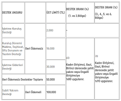 Kosgeb 2019 girişimcilik programı desteklerini duyurdu. 2017 Kosgeb Girisimcilik Destegi Bolgelere Gore Destek Oranlari Ilk Girisim