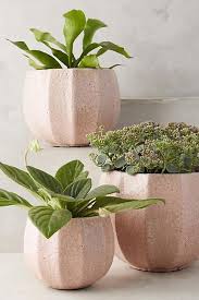 Anthropologie Ridged Terracotta Pot With Images Terracotta Pots Cheap Home Decor Planters