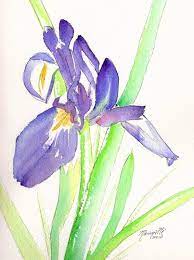 Japanese Iris Original Watercolor Painting From By Kauaiartist Seni