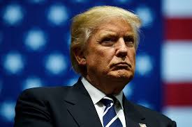 Colorado Supreme Court Disqualifies Donald Trump From 2024 Ballot