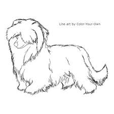 Powderpuff Chinese Crested Dog Coloring Page Chinese Crested Dog Coloring Page Dog Line Art