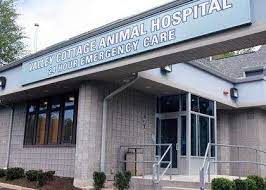 West gate veterinary hospital enterprise, al 36330. Working At Valley Cottage Animal Hospital Glassdoor