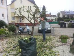 Nur gemeinsam sind wir stark! Stefan Henseleit Landschaftsgartner Hausmeisterservice Darmstadt