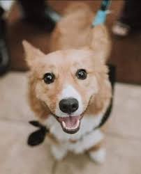 Completed paint by numbers diy project