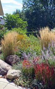 Pin By Quiet Nature Ltd On Lawn Alternatives Lawn Alternatives Landscape Design Sustainable Landscaping