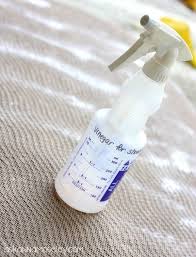 Find out how to get cigarette smell out of car (photo source: How To Remove Urine Smell From Carpet Ask Anna Remove Urine Smell Remove Urine Smell From Carpet How To Clean Carpet