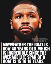 Happy Birthday Honey!🎉🎂❤️