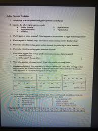 Neuron function 5 extension questions 18. Solved Action Potential Worksheet 1 Explain How An Actio Chegg Com