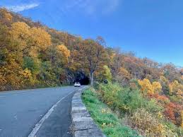 Check spelling or type a new query. Shenandoah National Park Day Trip Planner Central District Things To Do