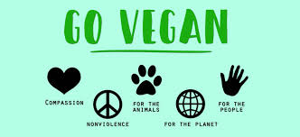 No more sweet potato curry. Go Cruelty Free A Guide On How To Transition To A Vegan Lifestyle