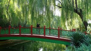 Chinese Gardens Beijing Canal Garden China Chinese Garden Modern Garden Zen Garden