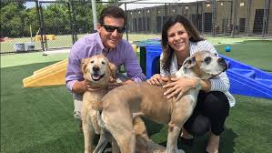 Maybe you would like to learn more about one of these? Pet Paradise Moving Headquarters To San Marco Wjct News