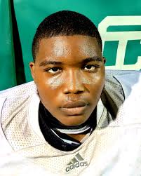 Meet the 2021 MLive Metro Detroit Football Dream Team for offense