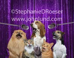 Three Dogs And Two Cats Sing Together In Sweet Harmony In This Funny Cat And Dog Picture Of Performing Pets