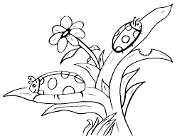 Planse de colorat flori 20 codrosu ro con desene cu flori de primavara de colorat e planse de colorat flori 20 desen fabric painting coloring books art lessons. Desene De Colorat Buburuza Desene De Colorat Ideas In 2021