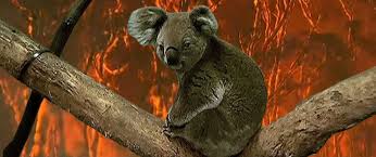 Pixabay & yangından kurtarılan koala fotoğrafı geçtiğimiz günlerde yangının bilançosuyla ilgili verilen bilgilerde yangında ölen hayvan sayısının 500 milyon olduğu açıklanmıştı. Avustralya Daki Orman Yanginlari Buzullari Sarartti