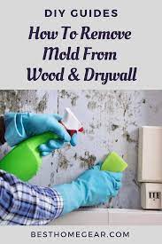 How To Remove Mold From Wood And Drywall Mold Remediation Best Home Gear Mold Remover Remove Mold From Wood Mold Remediation