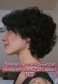 3 meses do corte #pixiecut #cabelo #cabeloondulado #pixiecuthairstyle #fyp  #transicaocapilar