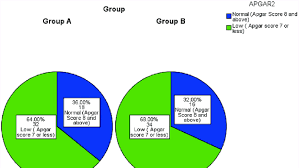 Pie Chart Showing Apgar Scores In Individual Groups