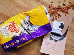 We did not find results for: Pop Up Cat S Meow Card Our Kid Things