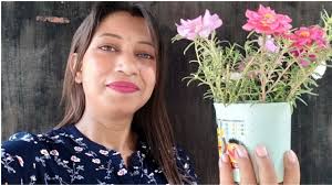 Moss rose in small cup/Portulaca plant in cup/ Best summer flower plant/  Table rose/ Rose moss