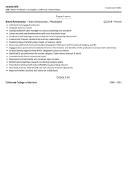 Skills boost in marketing, sales, pr. Brand Ambassador Resume Sample Velvet Jobs