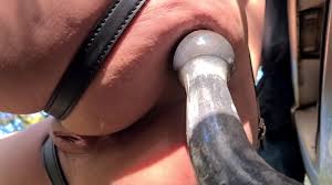 I do my slut in exhib in the forest I fuck the hitch ball and then I hit  the gear knob I do my big female dog and fuck my car -