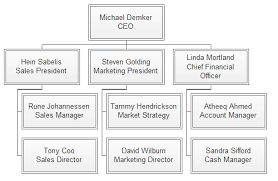 Org Chart Layout Org Charting