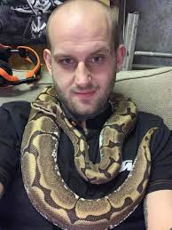 Sexed female Spider Ball Python. Few months old newest edition as of today  couldn't say no lol.