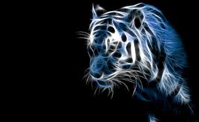 See more disneyworld wallpaper, disney world wallpaper, world wallpaper, world of color wallpaper, wizarding world of harry potter wallpaper looking for the best the world wallpaper? Best Laptop Wallpapers Hd Wallpaper Cave