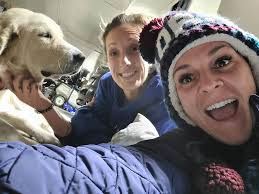 When you think your dog is going to have puppies but she's an outside  dog... you grab one of your mares, baby cow, dogs and sleep under the  house. It was a