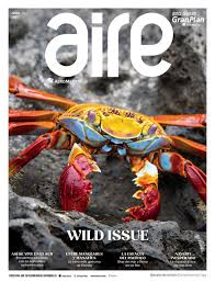 Hardware items metal iron dish drying rack for kitchen tableware. Aire Julio 2021 Wild Issue By Expansionpublishing Issuu