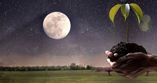 Que vous soyez jardinier amateur, professionnel, avec la main verte ou non, avec lune & jardin vous serez en. Jardiner Avec La Lune En Fevrier 2018 Decouvrez Nos Conseils